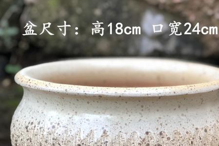 炻陶花盆为什么会贵