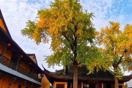 苏州定慧寺门票