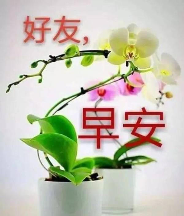 22年的早晨问候