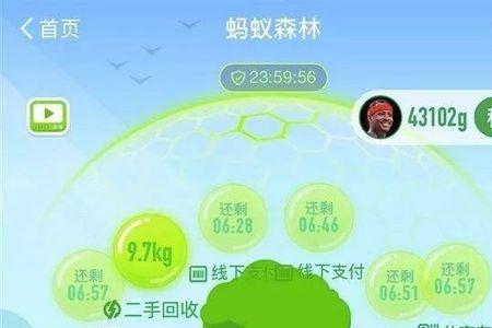 蚂蚁森林能量129是什么