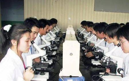 初中毕业兽医专业适合女生吗