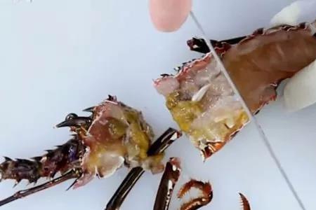 大龙虾放尿后是冷冻还是保鲜