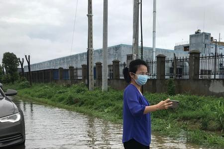 围垸是什么意思