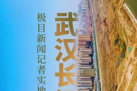 长江新区谁提出的