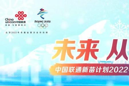 巨人网络是国企吗