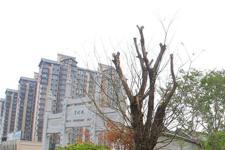 龙门一号卷怎么样