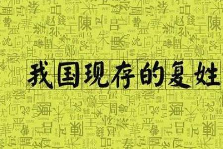 子楚是复姓吗
