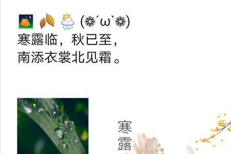 幼儿园寒露小任务文案
