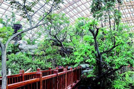 太原植物园电瓶车怎么租