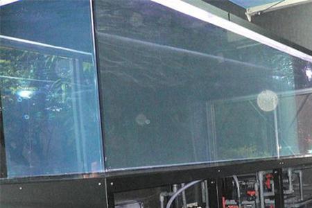 背滤怎么加干湿分离