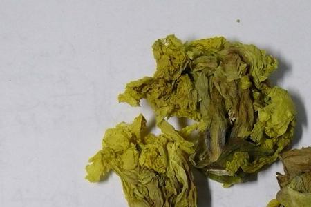 蜀葵是直根系吗