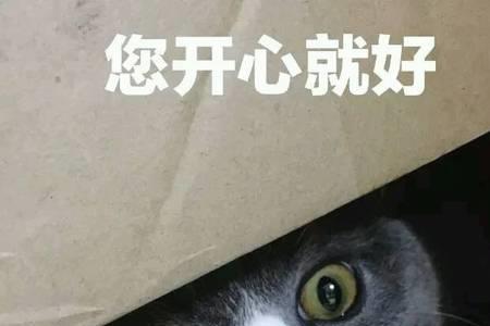 你开心就好下句怎么回复