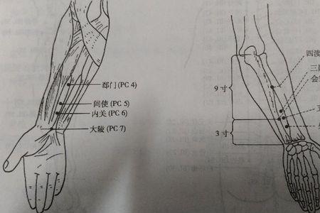 走路多了脚掌上斜方肌为什么疼