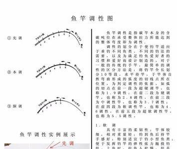 36米偷驴鱼竿硬度选择
