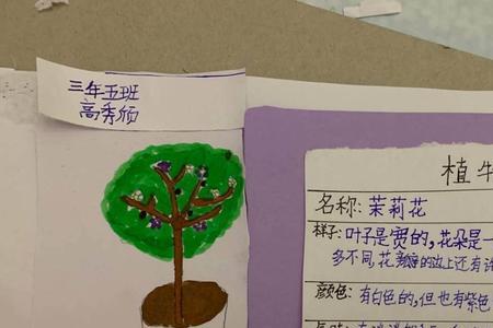 仙人球植物记录卡怎么写