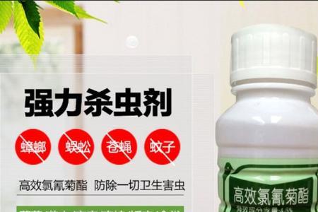 氯氰菊酯能杀蚊子吗