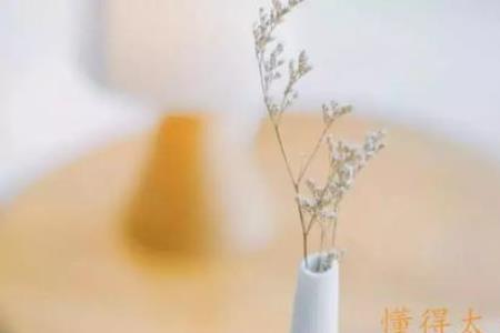 人心好累什么意思