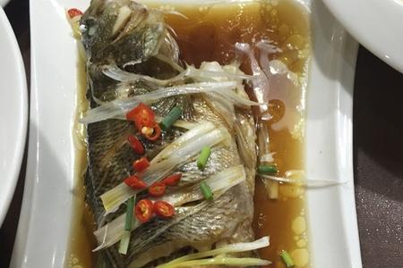 东莞桂花鲈鱼吃什么