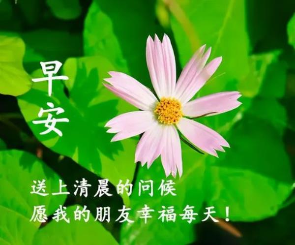 对方是喜欢的女孩早安问候
