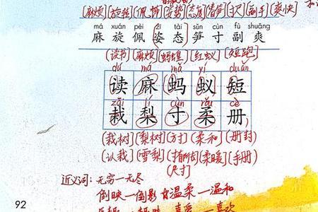 笋的组词2个字