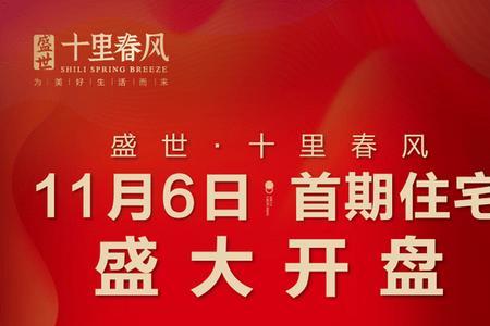 天洲十里长安什么时候入市