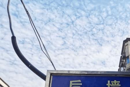 曾经走过这条街歌词