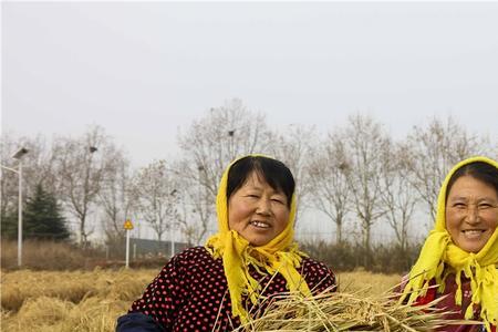 丰收的喜悦！怎么回复