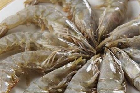 螺丝虾死的还能吃吗