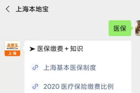 上海医保自付标准