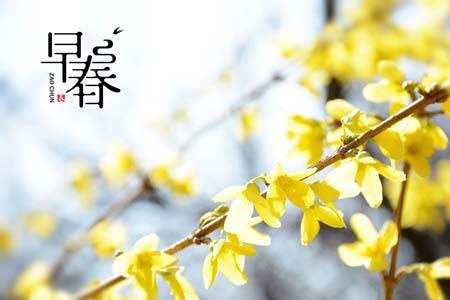 春风传意什么生肖