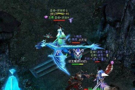 遮天万龙巢里有什么