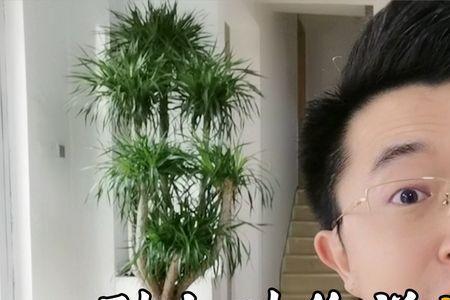 别人叫你摆几桌怎么幽默回复他