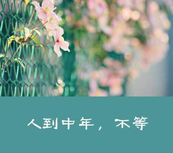 累而不语苦而不言的说说