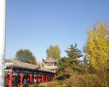 敦化渤海文化园门票
