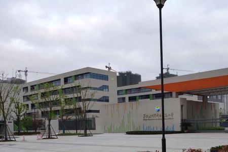 杭州湾小学怎么样