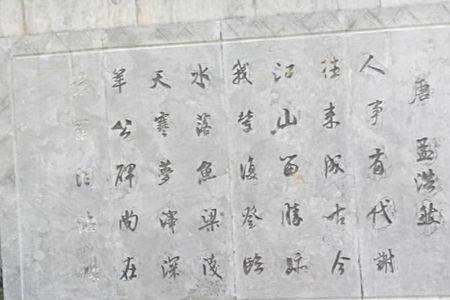 泣泪沾襟的成语
