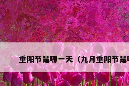 重阳节第二天是什么星座