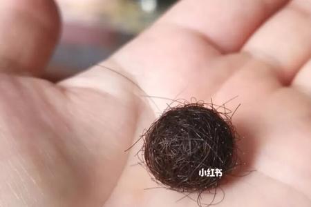 头发是空心的还是实心的呀