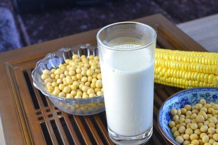 黄豆与豆浆的区别