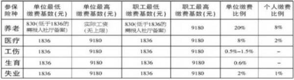铁路职工的社保缴费指数是多少