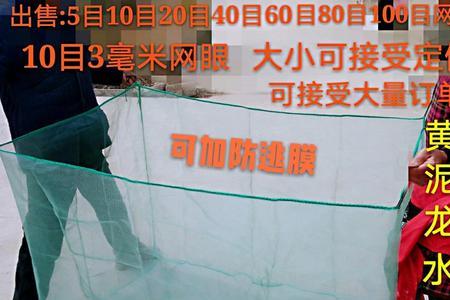 鳝鱼网箱沉底好还是悬空好