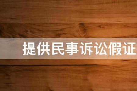 民事诉讼中被告伪造证据怎么办