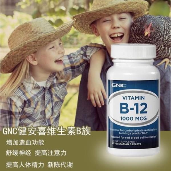 vb12都有什么类型