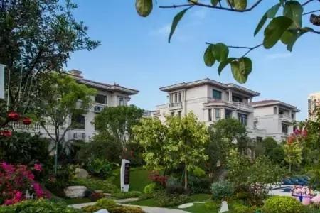 碧桂园房子未入住要交物业费吗
