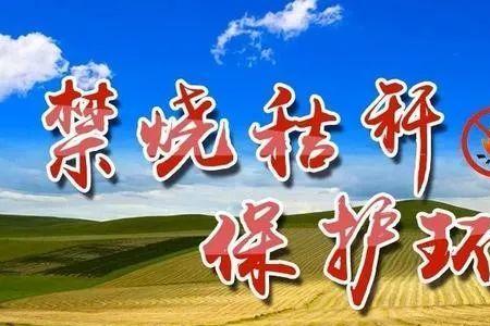 禁止烧秸秆谁提出来的