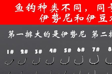 13号伊势尼能钓4斤鲤鱼吗