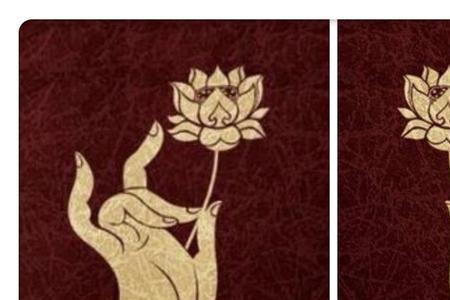 古代佛手是指什么颜色