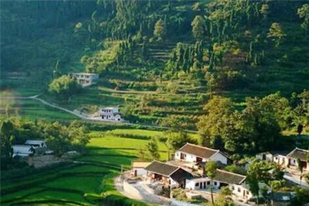 城镇户口可在农村买山地吗