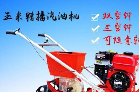 吉耘816玉米种