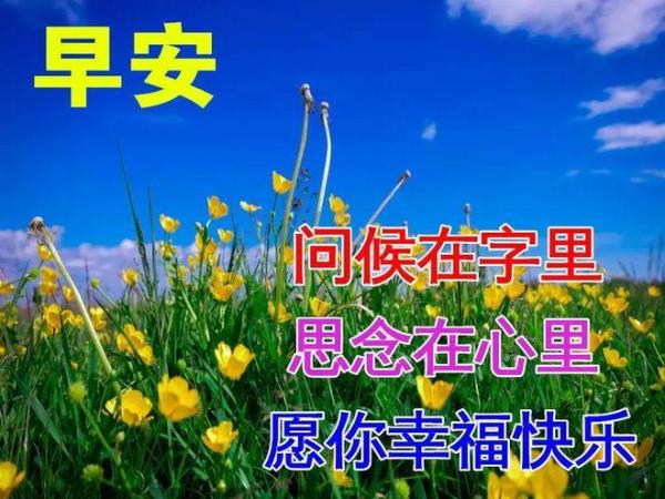 适合快递群里发的早安问候